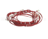 33Z0052 Merrychef Main Loom Wiring Harness