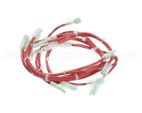 33Z0079 Merrychef E4 Filter Fuse Loom Phb