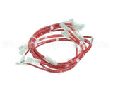 33Z0079 Merrychef E4 Filter Fuse Loom Phb