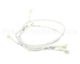 33Z0103 Merrychef E2S Hv Loom Kit 1000W & 2000W