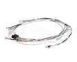 34055.0000 Bunn Wiring Harness, Cbdc - Dv