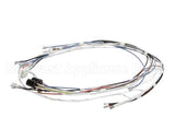 34055.0000 Bunn Wiring Harness, Cbdc - Dv