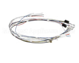 34055.0000 Bunn Wiring Harness, Cbdc - Dv