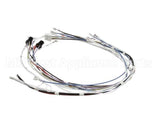 34055.0000 Bunn Wiring Harness, Cbdc - Dv