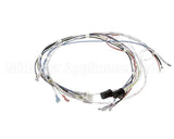 34055.0000 Bunn Wiring Harness, Cbdc - Dv