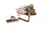 340620-704 Bryant Payne Txv Kit