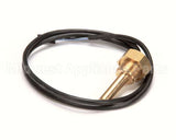 34070174 Rancilio Temperature Probe 3/8 Gas