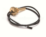 34070174 Rancilio Temperature Probe 3/8 Gas