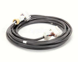 8063388 Frymaster Cable, Remote N Pot 20Ft Lp