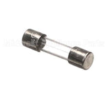 34110019 Garland Fuse T1A 250V 5X20 (Ea)