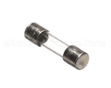 34110019 Garland Fuse T1A 250V 5X20 (Ea)