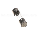 34110019 Garland Fuse T1A 250V 5X20 (Ea)