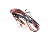 343-00146 Grindmaster Cecilware Wire Harness