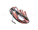 343-00146 Grindmaster Cecilware Wire Harness