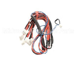 343-00146 Grindmaster Cecilware Wire Harness