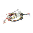 34435 Compatible Blodgett Harness, Iq Ctrl Ctbkfc