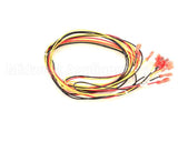 34470 Blodgett Harness, Motor Two Speed