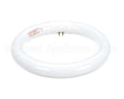 345-00003 Grindmaster Cecilware Lamp, Circular, 22W,4100K, #32