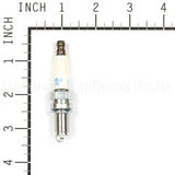 3481 NGK Dcpr6E Spark Plug