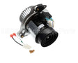349336-760 Bryant Payne Inducer Assembly