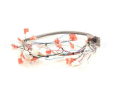 34985.0000 Bunn Wiring Harn, Door I/C Fmd-5