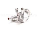 3516429 Delfield Valve,Therm Exp,W/O Mop, Small