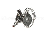 3516663 Delfield Valve,Therm Exp,W/O Mop, R290