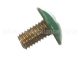 433304-02 Hoshizaki Screw Grounding