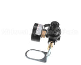 3548026 Multiplex Reg,Press,Gas,1/4" Barb