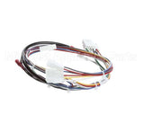 130201 Globe Wire Harness 3000 Series