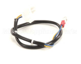 B6745502 Anets Wiring,Hi Lim 24Vac Sg