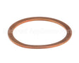 36240005 Rancilio Gasket Exchanger