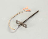 36506 Blodgett Probe, Thermistor 7 Lead