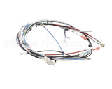 36677.0016 Bunn Wiring Harness, Itcb 208V