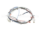 36677.0016 Bunn Wiring Harness, Itcb 208V