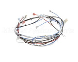 36677.0016 Bunn Wiring Harness, Itcb 208V