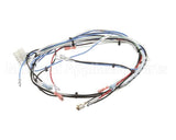 36677.0016 Bunn Wiring Harness, Itcb 208V