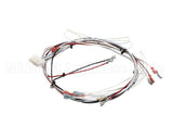 36677.0024 Bunn Wiring Harness, Itcb Mcd