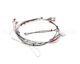36677.0024 Bunn Wiring Harness, Itcb Mcd