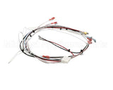 36677.0024 Bunn Wiring Harness, Itcb Mcd