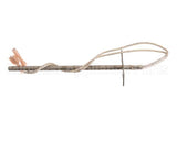 36720 Blodgett Probe,Rtd 1K Ohm D/M1Xl