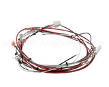 36849.0002 Bunn Wiring Harness, Power Dunkin Hwb