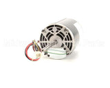 369759 Lincoln Motor 50Hz 220/240