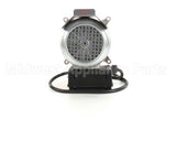 37022 Blodgett Motor Assembly, W/Conduit D1Xl
