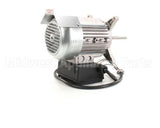 37022 Blodgett Motor Assembly, W/Conduit D1Xl