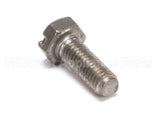 37030518 Rancilio Shower Screw