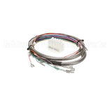 37133 Blodgett Harness, Manifold Meat Probe