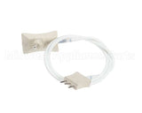 37134 Blodgett Probe, Meat