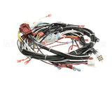 371524 Lincoln Term Wire Lead Lf/Sd Rear