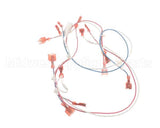 37334 Blodgett Harness, Infinite Add-In